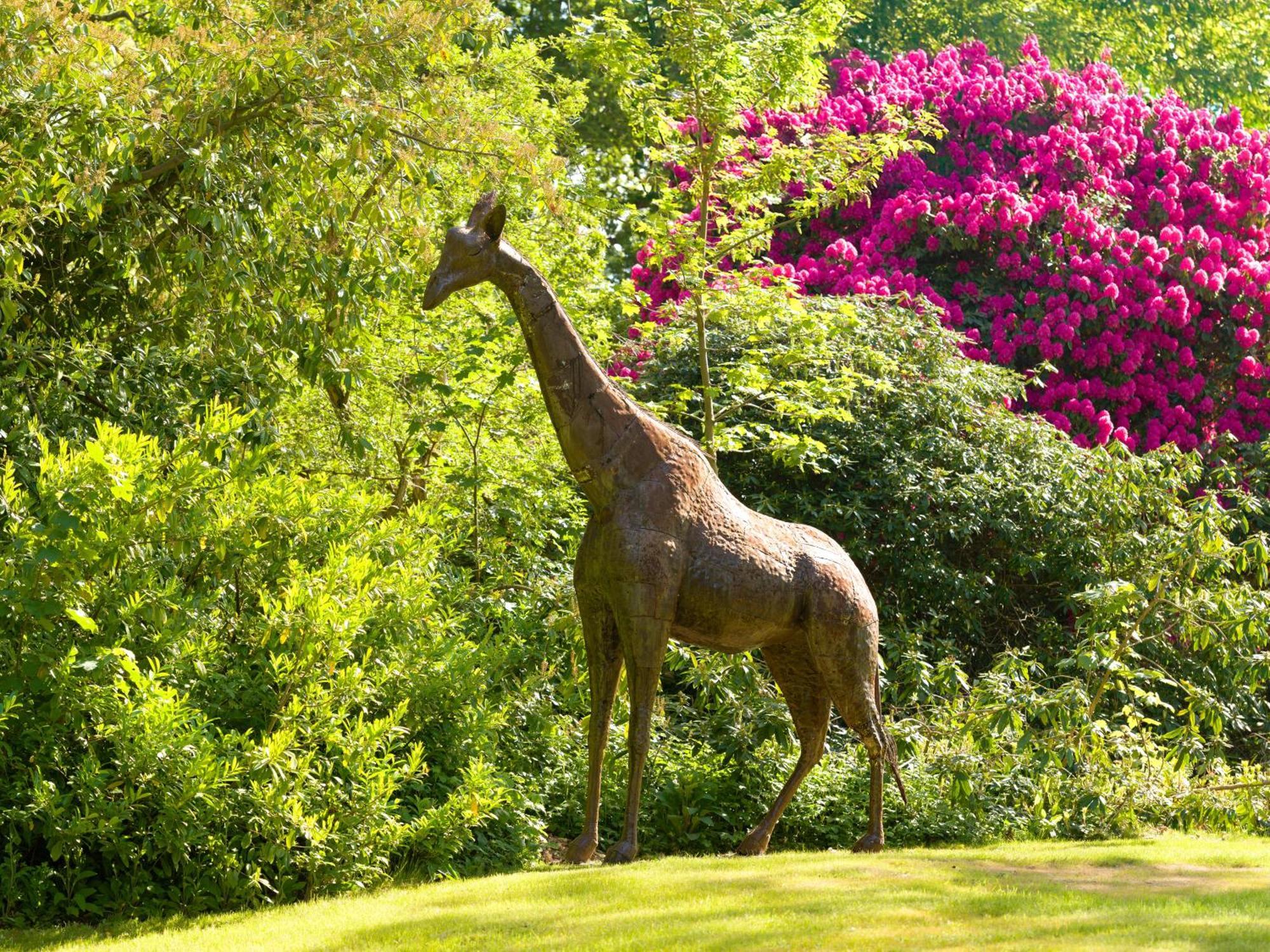 Tyrrells Park Bed & Breakfast Ringwood Luaran gambar